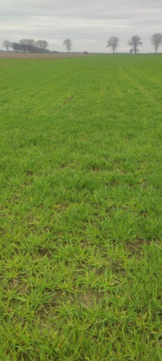 Zdjęcie WhatsApp 2024-03-22 o 15.48.02_e61d3f74.jpg