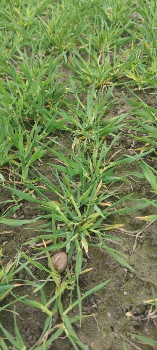 Zdjęcie WhatsApp 2024-03-22 o 15.48.01_d221d12f.jpg