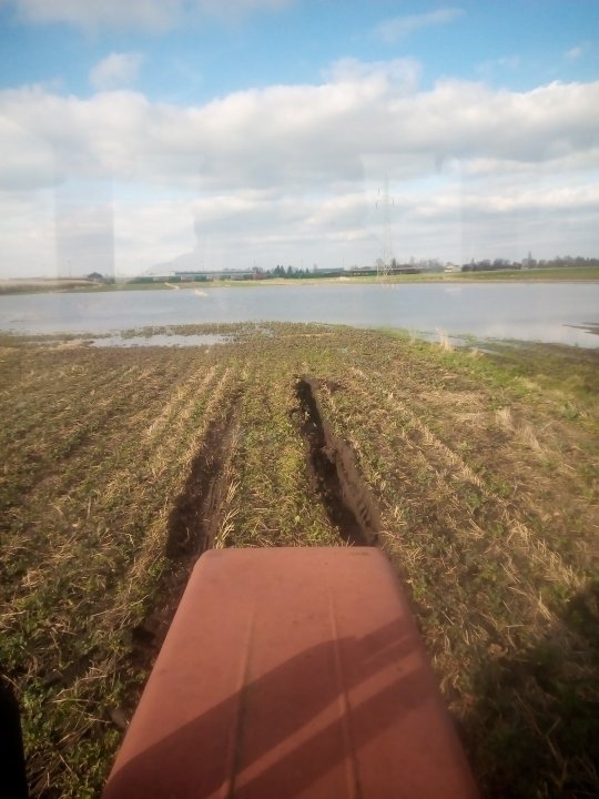 IMG_20240321_145826 — kopia.jpg