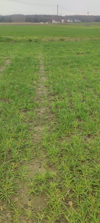 Zdjęcie WhatsApp 2024-03-22 o 15.48.02_fe9dcb1c.jpg