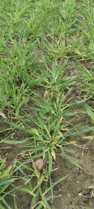 Zdjęcie WhatsApp 2024-03-22 o 15.48.01_6551e703.jpg