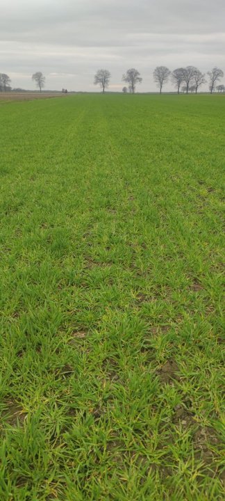 Zdjęcie WhatsApp 2024-03-22 o 15.48.02_61f6add0.jpg