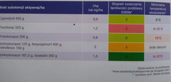 Fungi - pszenica podstawa.jpg