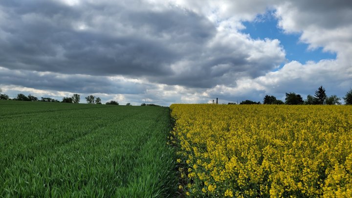 20240421_105441 (1).jpg