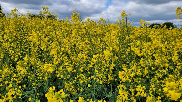 20240421_105459 (1).jpg