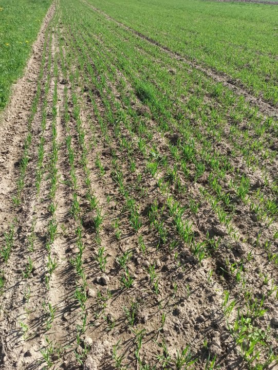 IMG_20240412_103357 (1).jpg