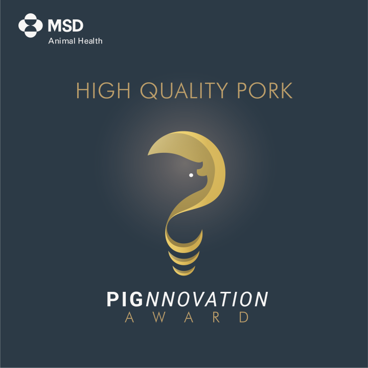 Pignnovation Award_ilustracja.png