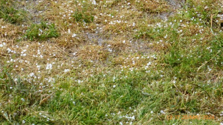 Panasonic DMC-TZ40 4896x2752_000437.jpg