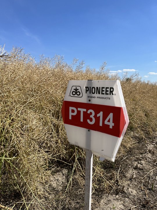 Fot-2_PT314 (2).jpeg