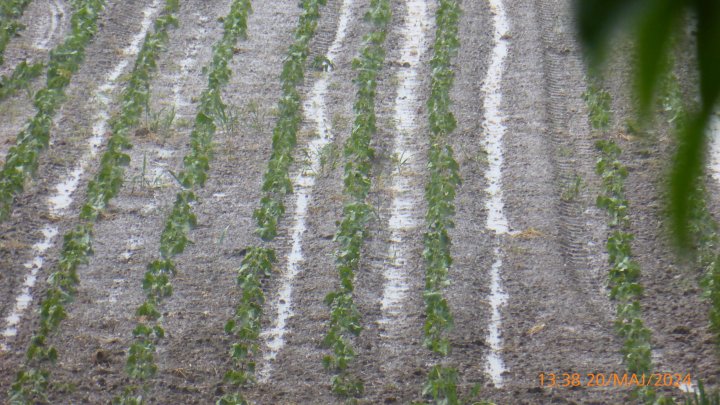 Panasonic DMC-TZ40 4896x2752_000453.jpg