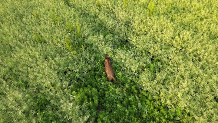 Zrzut ekranu (142).png