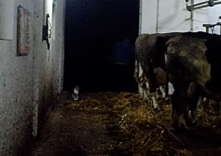 Screenshot_20240204-080131~2 (1).png