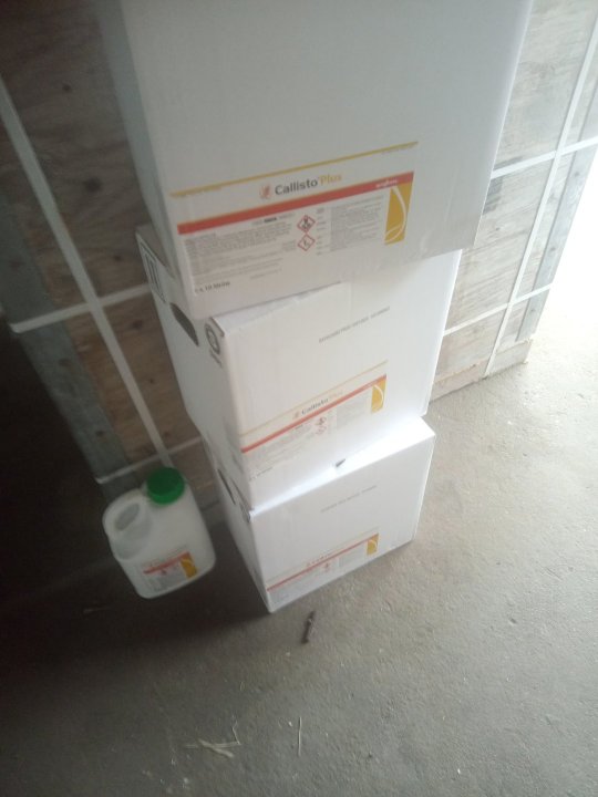 IMG_20240815_151631_660 (1).jpg