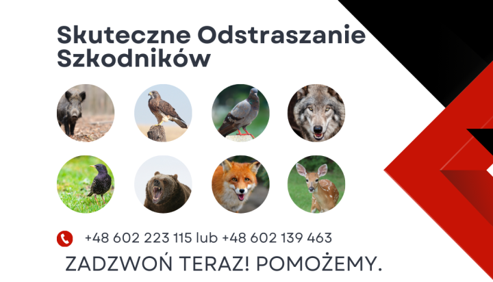 skuteczne-odstraszanie-szkodnikow-dzikow-lisow-jastrzebi-golebi-wilkow-szpakow-niedzwiedzi-lisow-saren.png