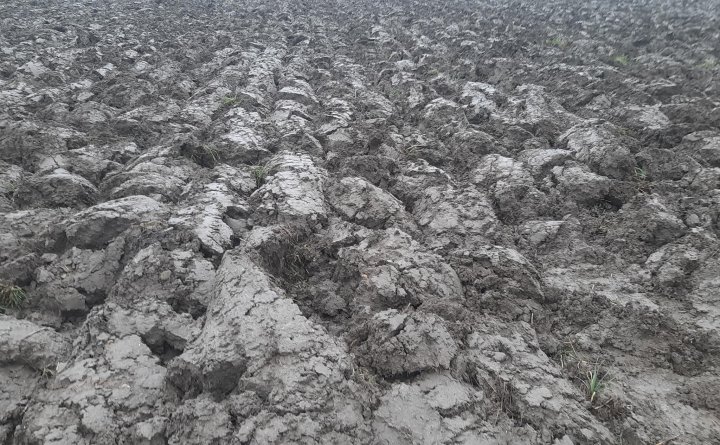 Bez tytułu (Copy).jpg