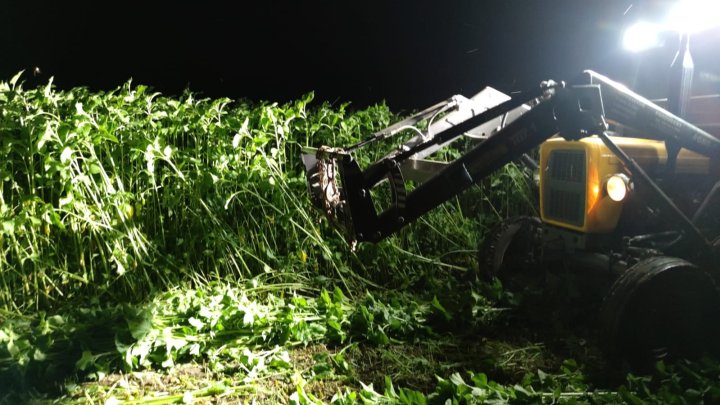 Zdjęcie WhatsApp 2024-08-29 o 20.56.02_c3ccc9cb.jpg