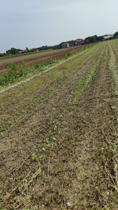 Zdjęcie WhatsApp 2024-08-31 o 20.52.52_b8f3848b.jpg