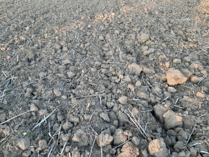 20240922_180645 (Copy).jpg