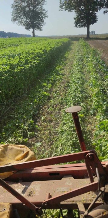 9eb04b95-a5f5-46a1-9563-3d98011b7f07 (1).jpg