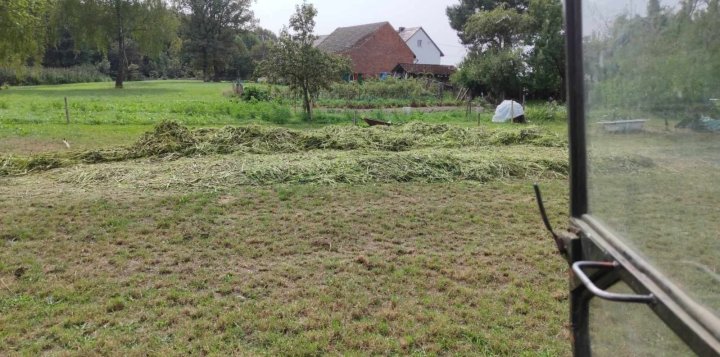 Zdjęcie WhatsApp 2024-08-31 o 20.52.48_1bece830.jpg