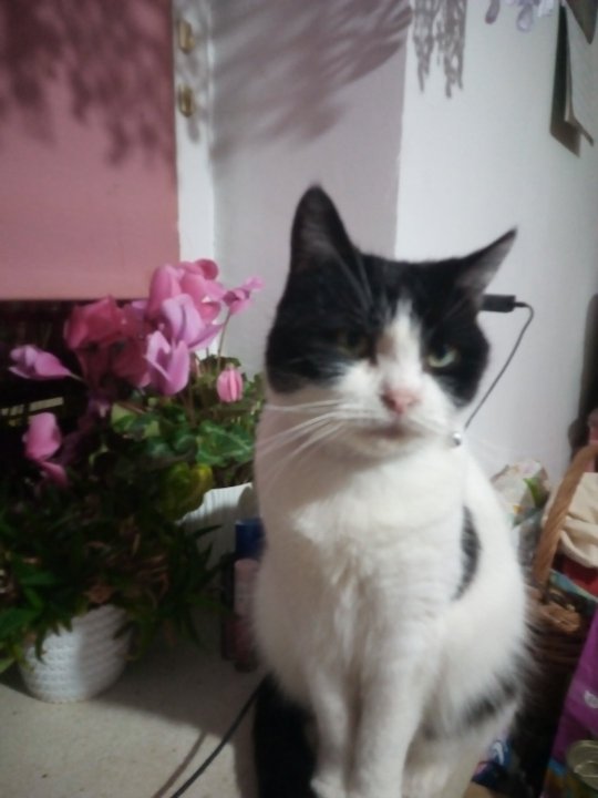 IMG_20231118_172528 — kopia.jpg