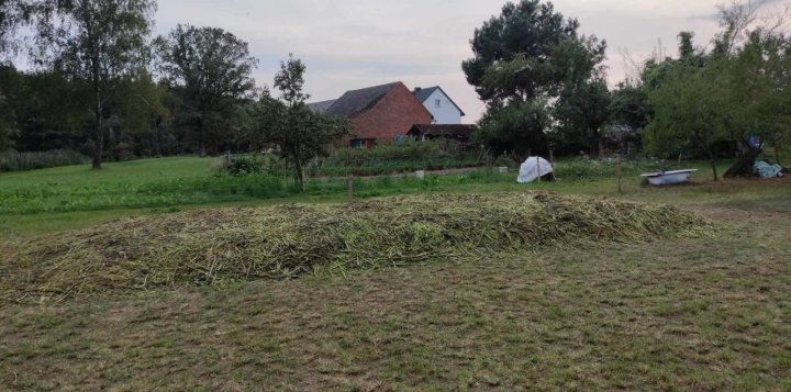 Zdjęcie WhatsApp 2024-08-31 o 20.52.50_d4d6bc73.jpg