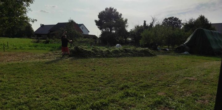 Zdjęcie WhatsApp 2024-08-31 o 20.52.49_d24cac9c.jpg