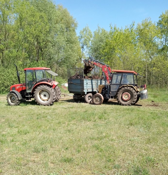 IMG_20240427_122534_719 (1).jpg