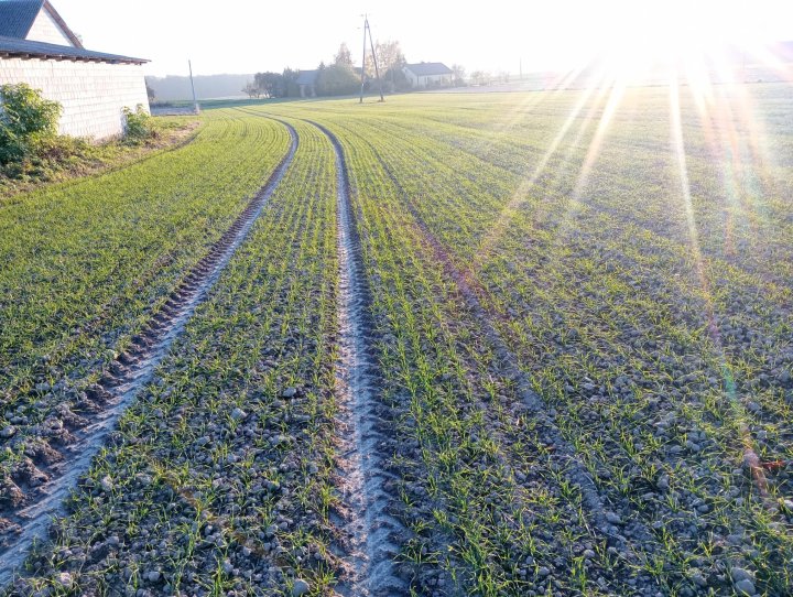 IMG_20241025_163231_HDR (2).jpg