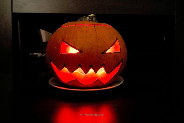 halloweenowa-dynia.jpg