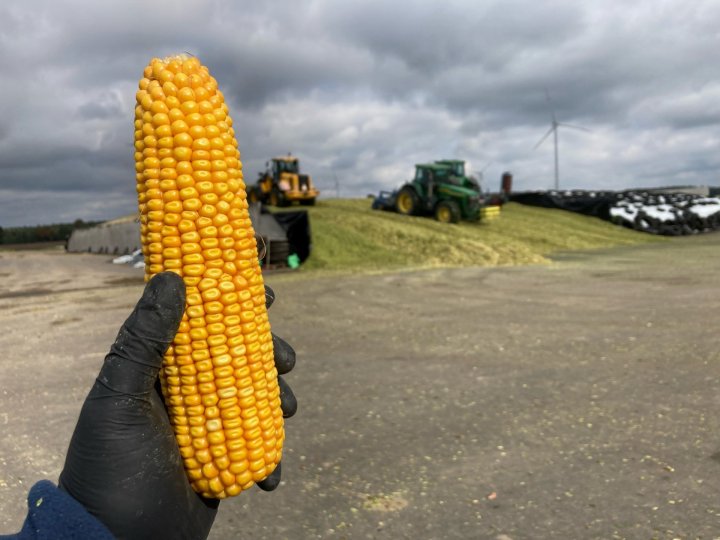 DKC 3418 Cieszymowo 3.jpg