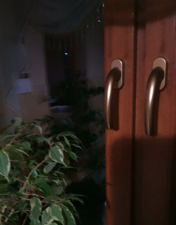 IMG_20241121_195526 (1).jpg