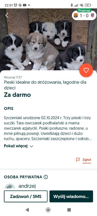Screenshot_2024-12-21-22-01-34-197_pl.tablica.jpg