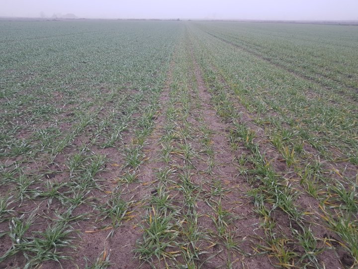 WhatsApp Image 2024-12-08 at 20.23.05.jpeg