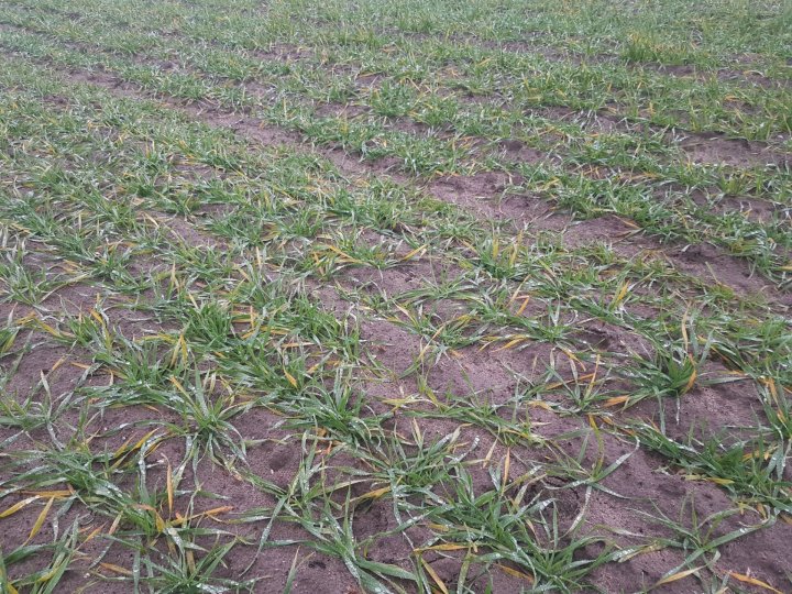 WhatsApp Image 2024-12-08 at 20.23.06.jpeg