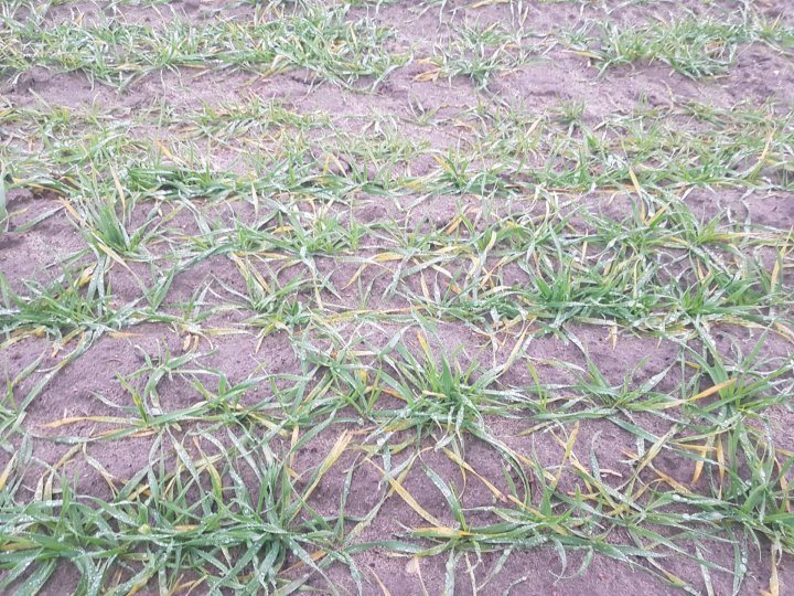 WhatsApp Image 2024-12-08 at 20.23.08.jpeg