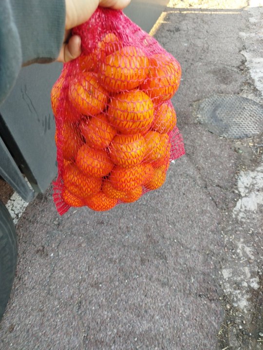 b76b4ce5-7686-40d9-a7d7-94b280d0e3e1 (2).jpg