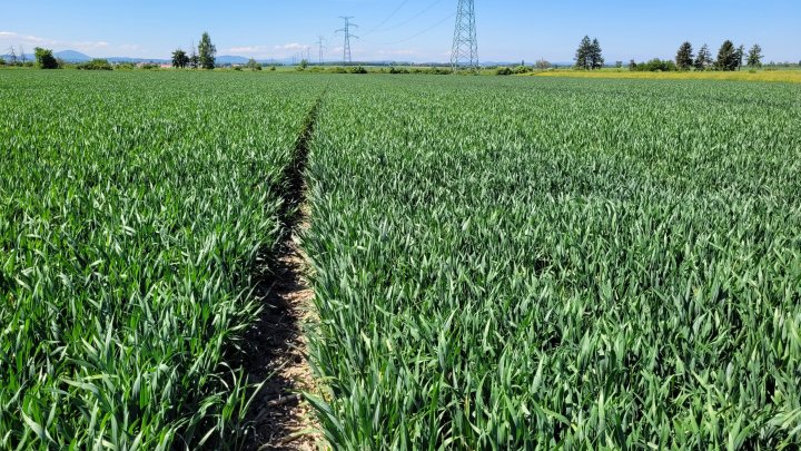 20240512_121004 (1).jpg