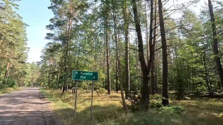 Przechwycenie obrazu ekranu_2024-12-15_18-28-45.jpg