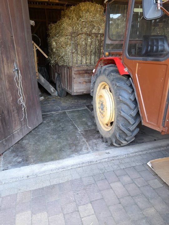 363899759_252573447668316_1574650707884977831_n (2).jpg