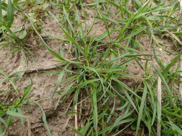 IMG_20250326_161455260 (1).jpg