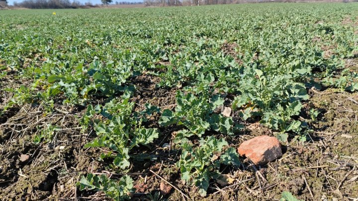 WhatsApp Image 2025-03-16 at 12.37.39 (1).jpeg