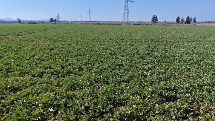 WhatsApp Image 2025-03-16 at 12.37.40 (1).jpeg