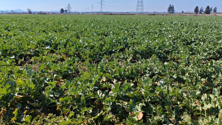 WhatsApp Image 2025-03-16 at 12.37.40 (2).jpeg