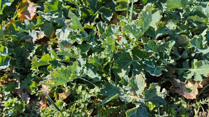 WhatsApp Image 2025-03-16 at 12.37.40 (3).jpeg