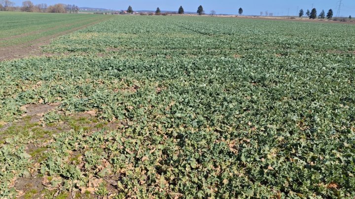 WhatsApp Image 2025-03-16 at 12.37.41 (1).jpeg