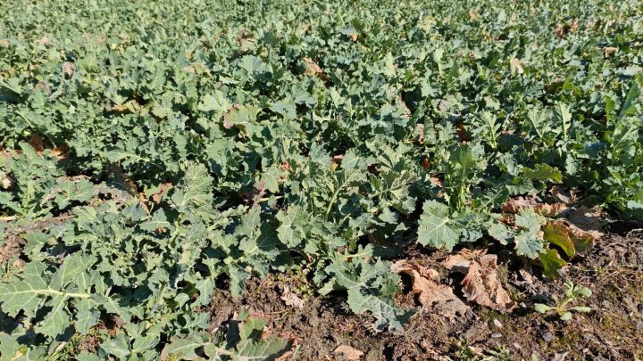 WhatsApp Image 2025-03-16 at 12.37.41 (2).jpeg