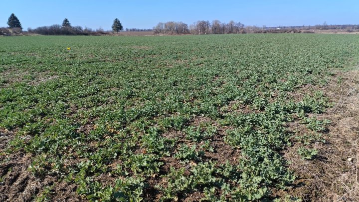 WhatsApp Image 2025-03-16 at 12.37.39.jpeg