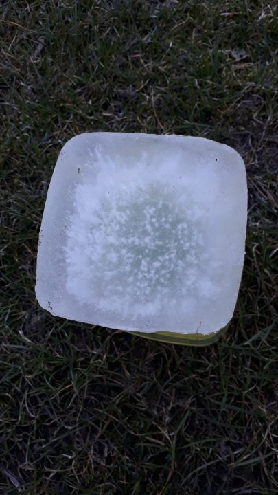 WhatsApp Image 2025-03-18 at 08.08.15.jpeg