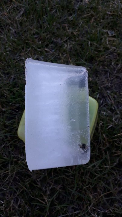 WhatsApp Image 2025-03-18 at 08.08.15r.jpeg